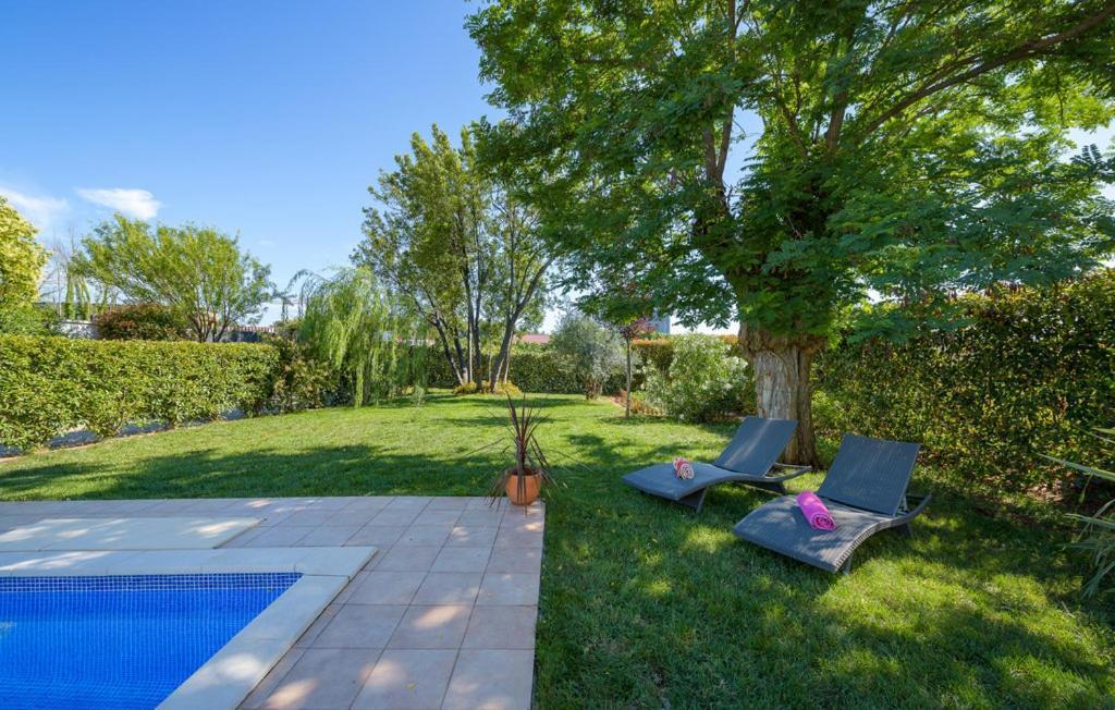 Villa Vigneri Novigrad Istria Eksteriør billede