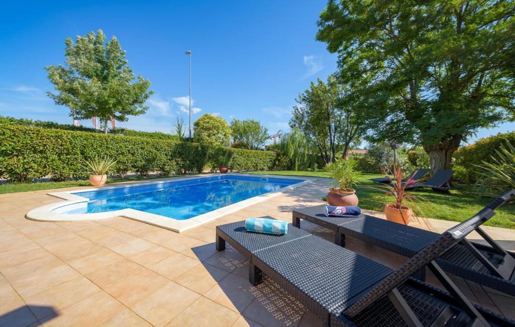 Villa Vigneri Novigrad Istria Eksteriør billede